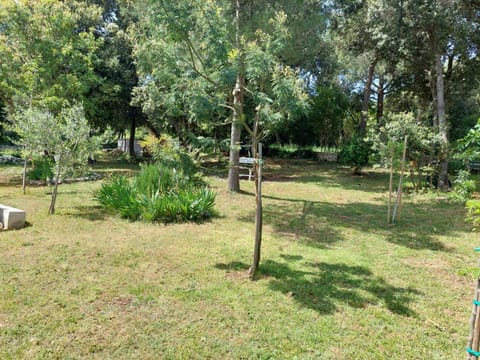 Sweet Apartment in Rovinj