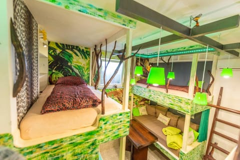 Photo of the whole room, Bedroom, bunk bed