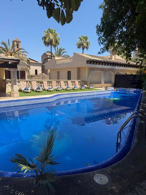 Garden, Pool view, Swimming pool, sunbed