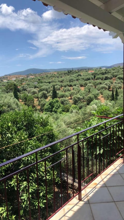 Konstantina's House I House in Messenia