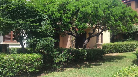 Property building, Garden view