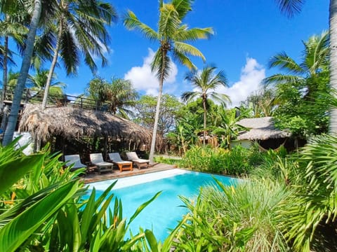 Garden, Swimming pool, sunbed