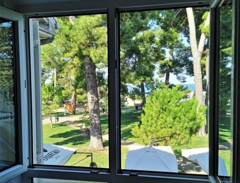 Day, Natural landscape, Pets, Garden view