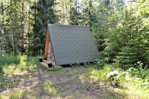 Property building, Natural landscape