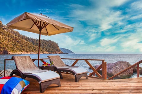 Nearby landmark, Day, Natural landscape, Beach, Sea view, Swimming pool, sunbed