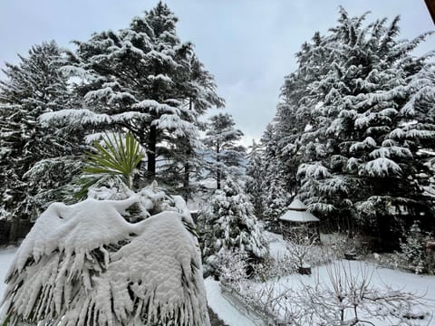 App. Franziska Villa Fabbrani Apartment in Brixen