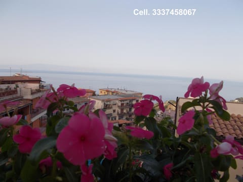 Day, View (from property/room)