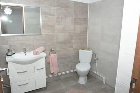 CASA DIN SAT Bed and Breakfast in Serbia