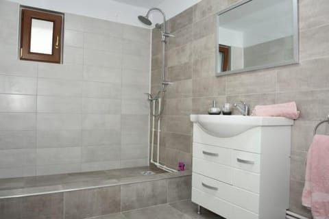 CASA DIN SAT Bed and Breakfast in Serbia