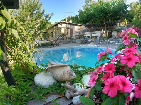 Pool view, Swimming pool