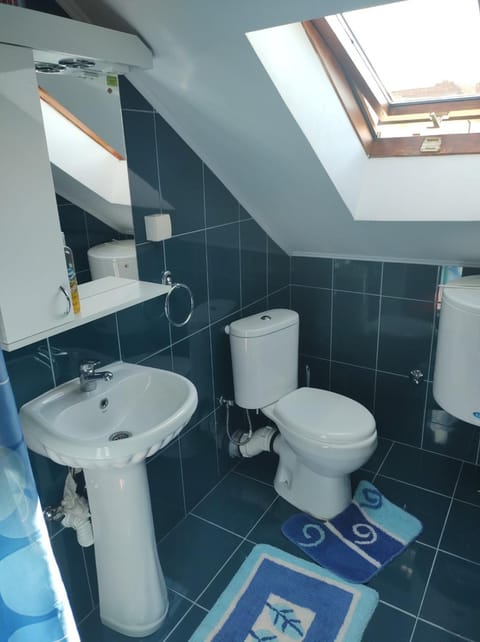 Apartmani Mile Apartment in Serbia