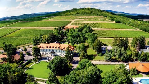 Property building, Bird's eye view