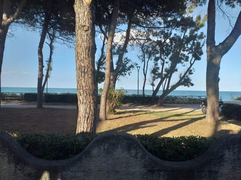 Property building, Neighbourhood, Natural landscape, Summer, Beach