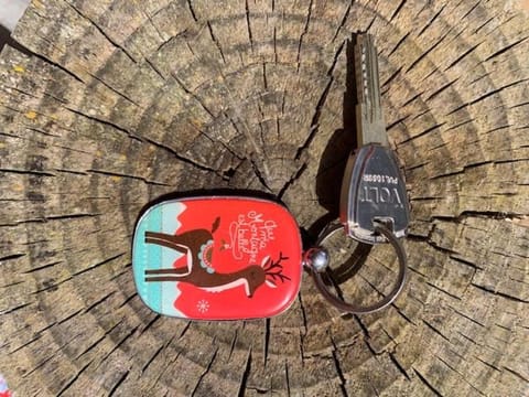 Le Petit Chalet de Montriond Chalet in Montriond