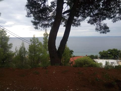 Pefkonas apartments2 100 m from the beach Apartment in Halkidiki