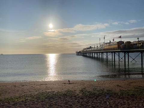 SINGER HOUSE GUEST HOUSE ,FREE PARKING ,1 BEDROOM GROUND FLOOR HOLIDAY FLAT , Private Gate & Garden & Bathroom , microwave , Fridge , Opposite Paignton Pier & Beach , Hotel Reception To Happily Help & Greet you , 1 DOUBLE BED & 1 SINGLE BED Apartment in Paignton