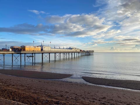 SINGER HOUSE GUEST HOUSE ,FREE PARKING ,1 BEDROOM GROUND FLOOR HOLIDAY FLAT , Private Gate & Garden & Bathroom , microwave , Fridge , Opposite Paignton Pier & Beach , Hotel Reception To Happily Help & Greet you , 1 DOUBLE BED & 1 SINGLE BED Apartment in Paignton