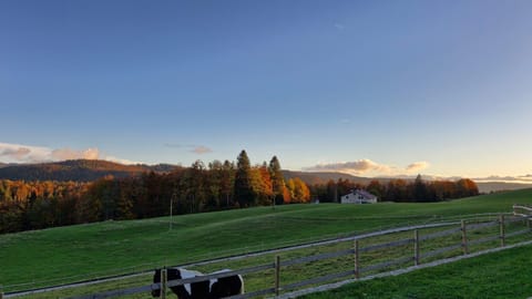Natural landscape, Autumn, Mountain view, Sunset
