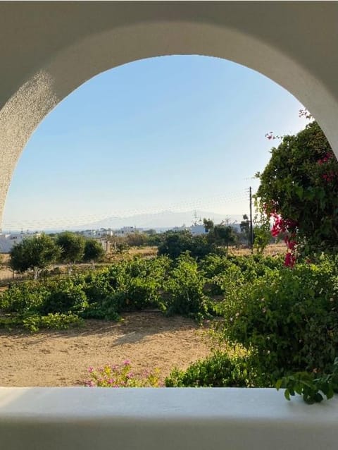 Vino suites Apartment in Naxos, Naxos and Lesser Cyclades, Greece