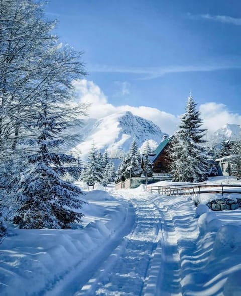 Mountain Star House in Montenegro