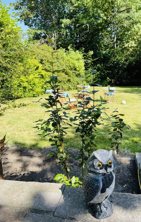 Patio, BBQ facilities, Garden, Garden, Garden view