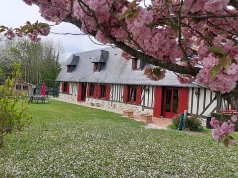 Property building, Garden, Garden view