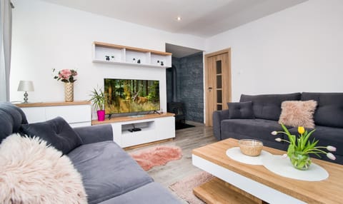 Communal lounge/ TV room, TV and multimedia, Living room, Bedroom, fireplace