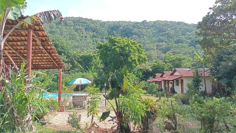 Property building, Spring, Day, Natural landscape, Garden, Garden view, Mountain view, Pool view, Swimming pool