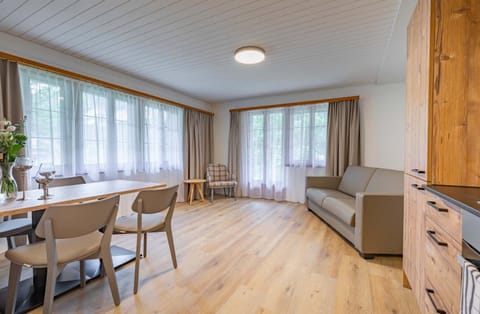 Kitchen or kitchenette, Living room, Seating area, Dining area