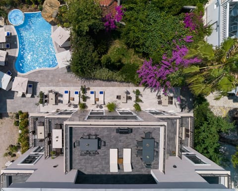 Property building, Day, Bird's eye view, Garden, Garden view, Pool view, Swimming pool