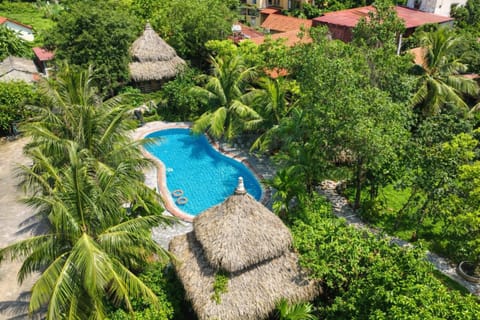 Garden, Swimming pool