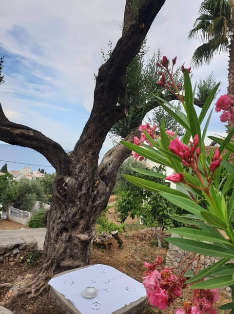 Apartman Veliki Pijesak Apartment in Ulcinj Municipality