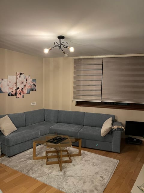 Vivien apartmani Apartment in Zlatibor