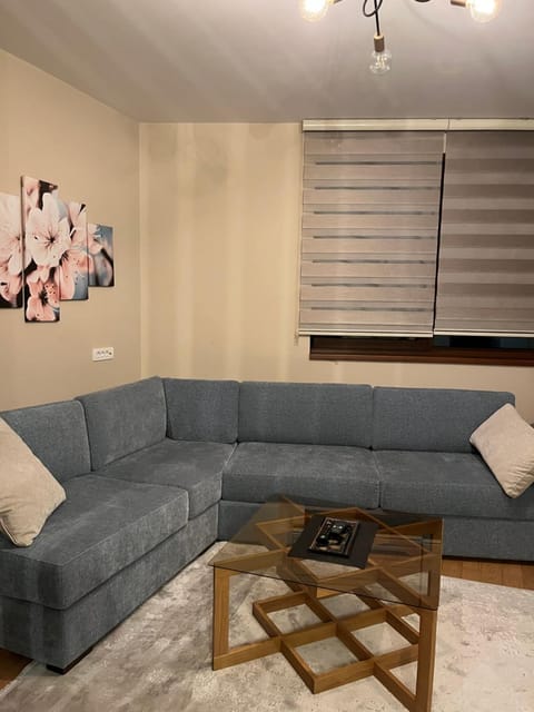 Vivien apartmani Apartment in Zlatibor