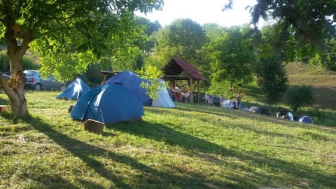 Camp Panorama Luxury tent in Zlatibor District, Serbia
