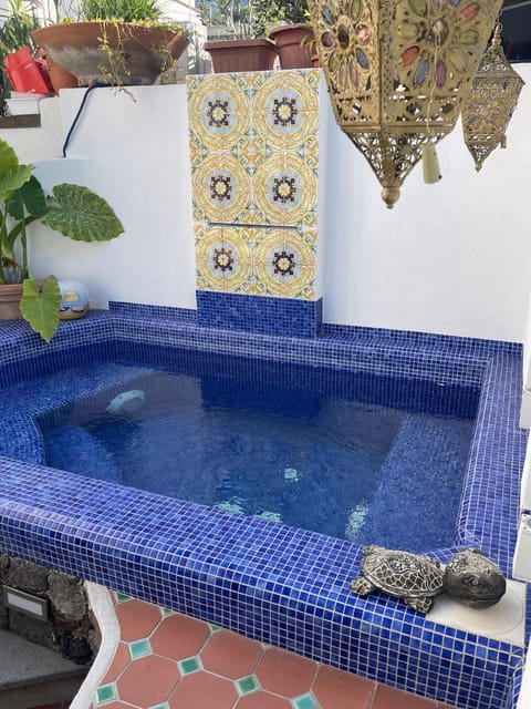 Smeraldino Apartment in Lacco Ameno