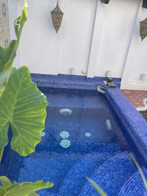 Smeraldino Apartment in Lacco Ameno