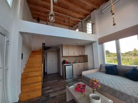 Kitchen or kitchenette, Living room, Seating area