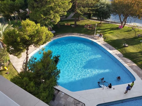 Swimming pool, Swimming pool