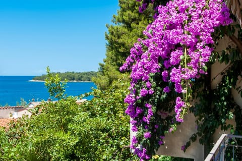Up to 13 people,near beach and centre Bed and Breakfast in Rovinj