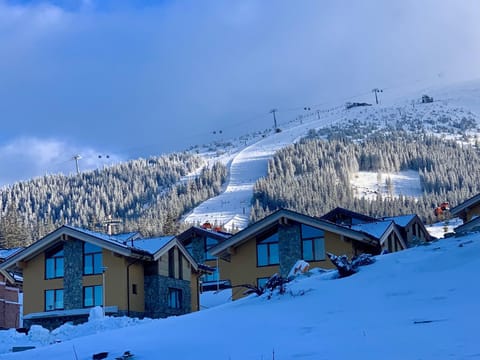 Property building, Natural landscape, Winter, Mountain view