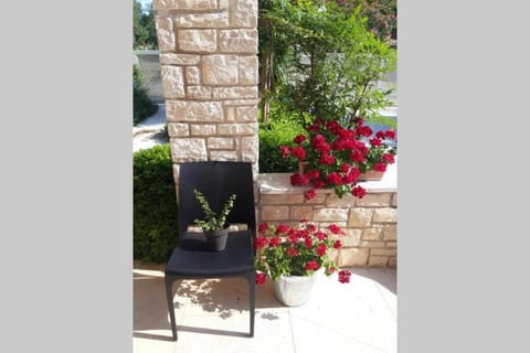 For Families Only - Casa Nora Novigrad House in Novigrad