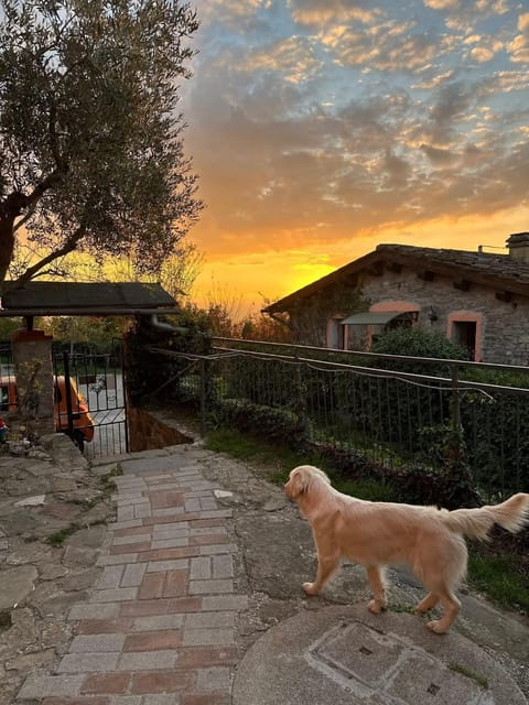 Casetta nel Podere di Massi Apartment in Emilia-Romagna