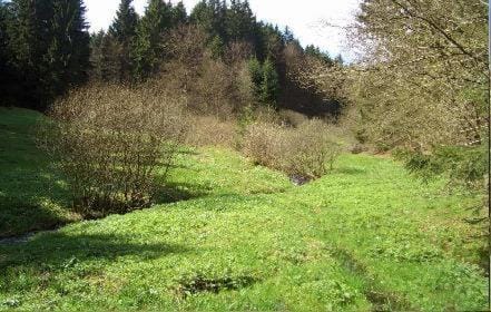 Day, Natural landscape