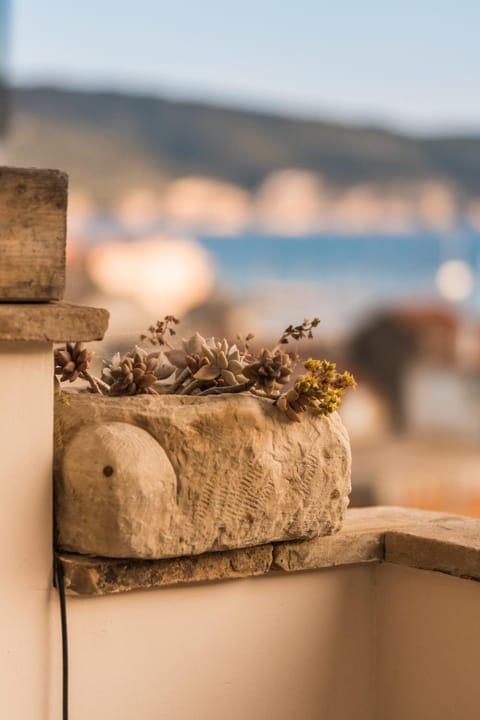 PALM TREE Apartment in Komiža