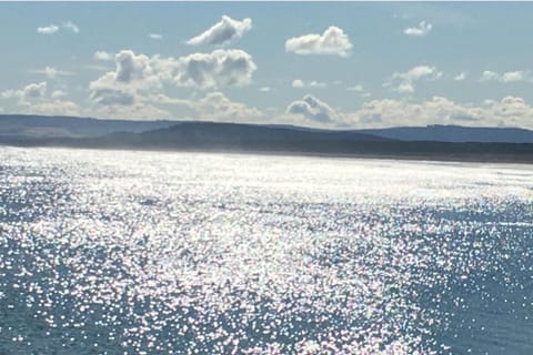 Beachfront Panoramic Seaview Free Wifi & Parking House in Lossiemouth