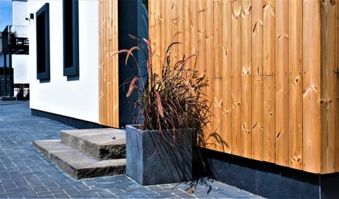 Smilgų kiemas Apartment in Klaipėda