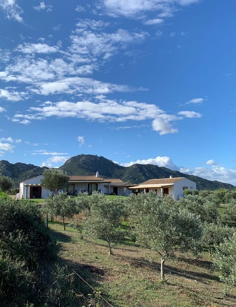 Property building, Natural landscape, Garden, Hiking