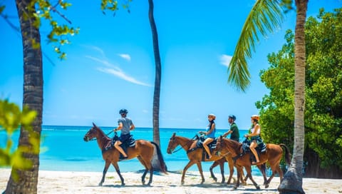 Nearby landmark, People, Natural landscape, Beach, group of guests