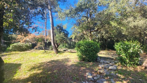 Natural landscape, Garden